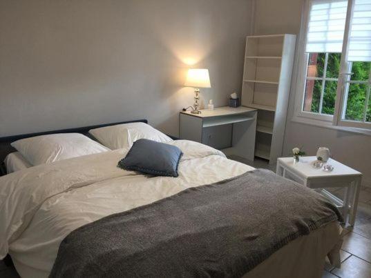 Ambiance Seine, Appartement Sympatique En Bord De Seine - Cygne Thomery Ngoại thất bức ảnh